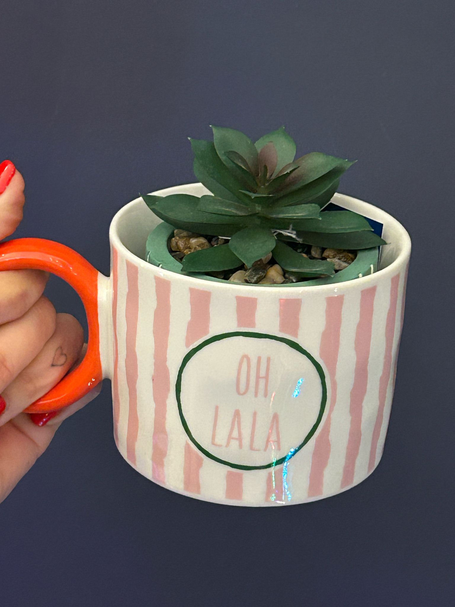 🇮🇹 Tazze Colorate “Italian Mood” – Solo o con Piantina 🌱